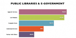 E-Government & Public Libraries